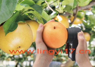 ATAGO愛拓PAL-HIKARi 12(梨子)無損糖度計(jì)